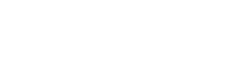 Arctix Permanent Lighting